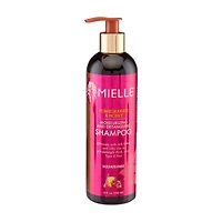 Mielle Organics Pomegranate & Honey Moisturizing and Detangling Shampoo, 12 fl oz