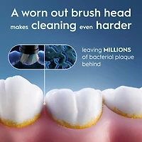 Oral-B Precision Clean X-Filament Electric Toothbrush Replacement Brush Heads for Advanced Plaque Removal, Compatible with Oral-B Pro, Genius, Smart & Vitality Series, 2 Count