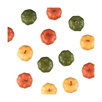 Perfect Harvest Mini Pumpkin Bowl Filler, 13 pcs, Assorted