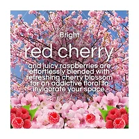 Air Wick Vibrant Scented Oil Twin Refill, Cherry Blossom & Raspberry