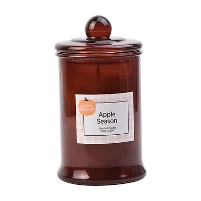 Perfect Harvest Old-World Glass Jar Candle, Amber, Apple Season, 19 oz