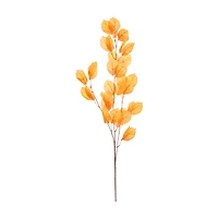 Orange Eucalyptus Stem, 37 in