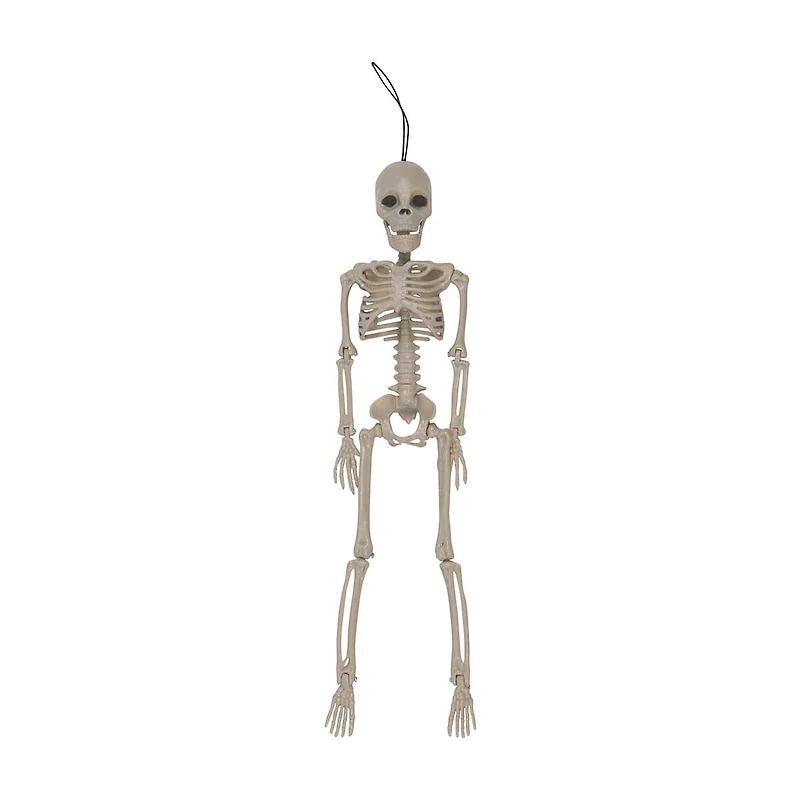 Halloween Skeleton Décor, 15.5 in, Small