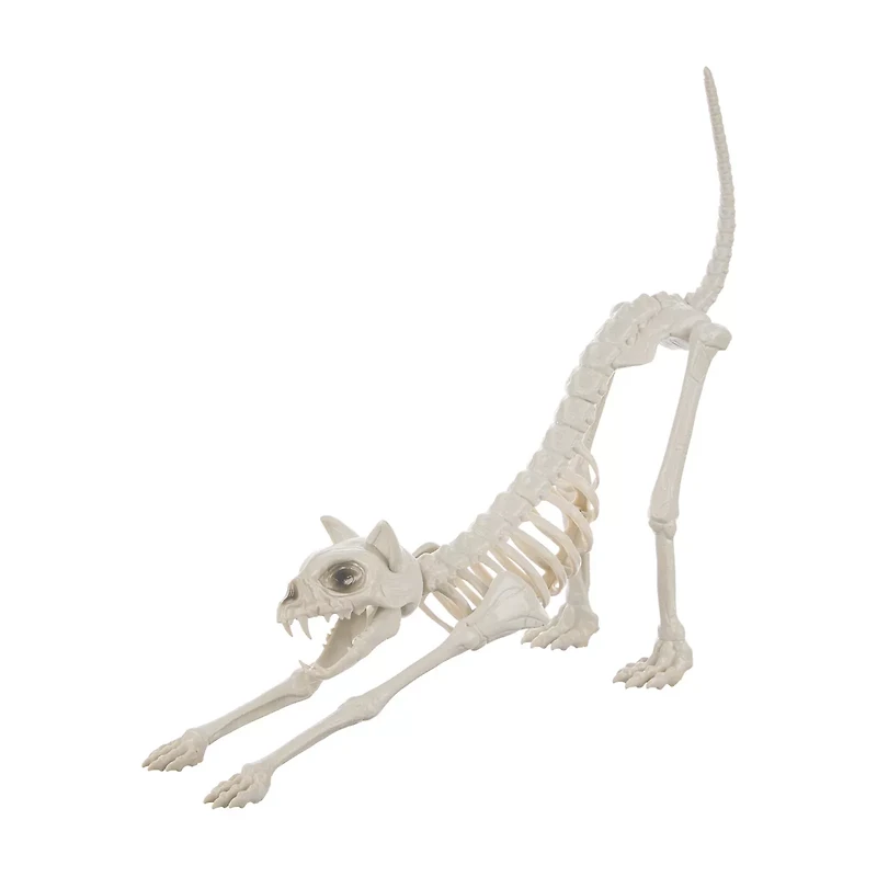 Halloween Skeleton Cat Decoration