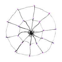 Halloween LED Spider Web Lights, 24 in, Assorted