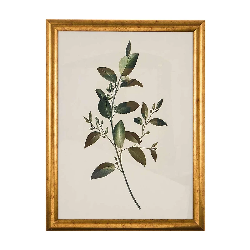 12x16inch Framed Art with Glass