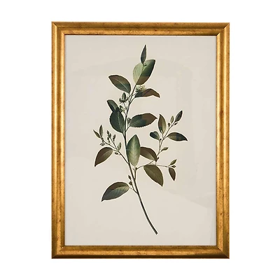 12x16inch Framed Art with Glass