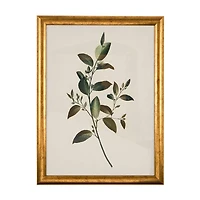 12x16inch Framed Art with Glass