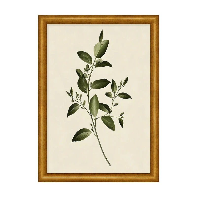 12x16inch Framed Art with Glass