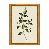 12x16inch Framed Art with Glass