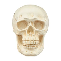 Halloween Resin Skull Decor