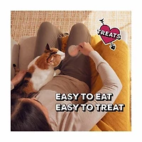 Temptations Lickable Spoons Tasty Chicken & Savory Salmon Flavor Adult Wet Cat F