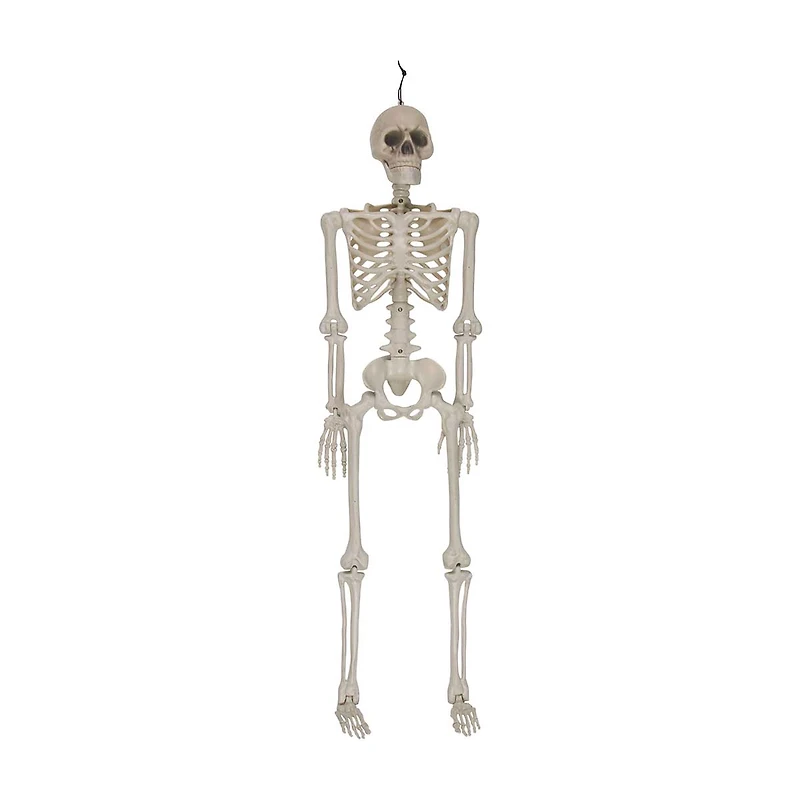 Halloween Posable Skeleton Décor, 36 in