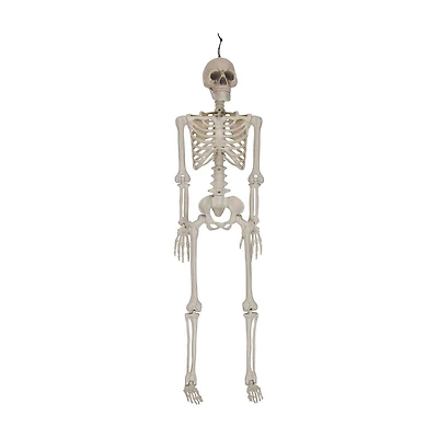 Halloween Posable Skeleton Décor, 36 in