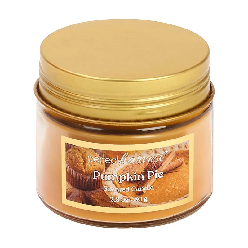 Perfect Harvest Scented Candle, Pumpkin Pie, 2.8 oz