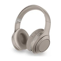 Sentry Active Noise Cancelling w Case