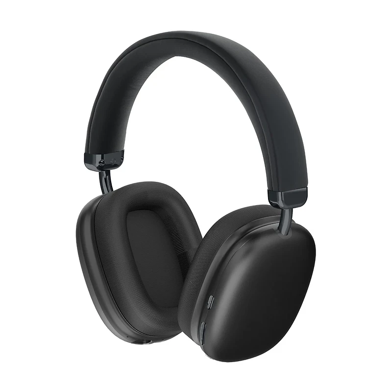 Sentry Active Noise Cancelling