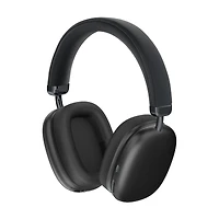 Sentry Active Noise Cancelling