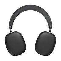 Sentry Active Noise Cancelling