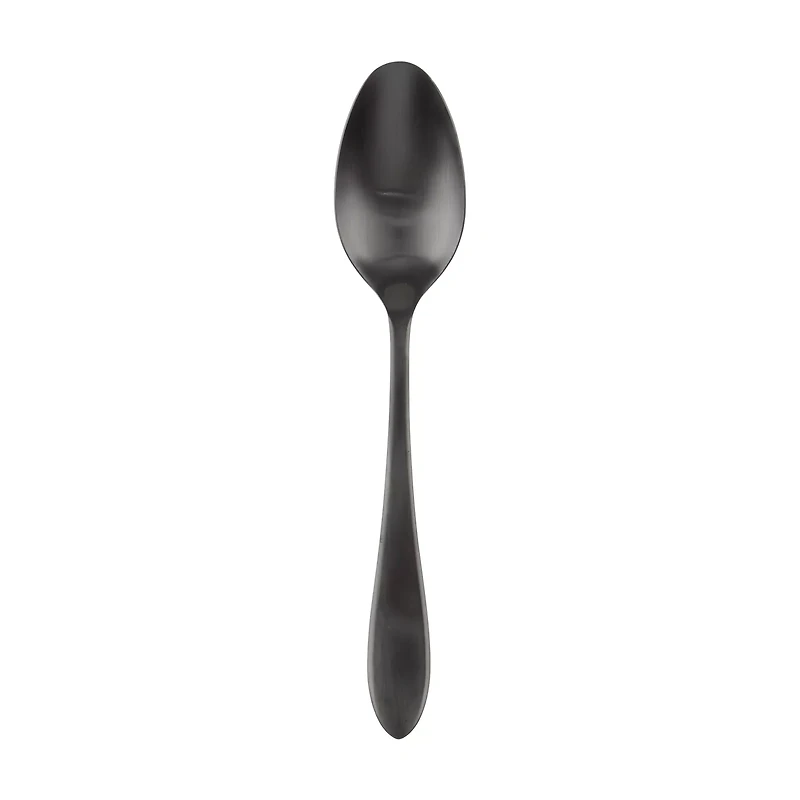 Delia Satin Serving Spoon