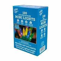 Holiday Style LED Mini Lights, 20 ft, Assorted