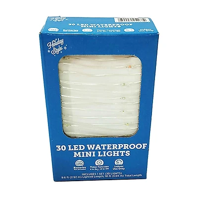Holiday Style LED Waterproof Mini Lights, 10 ft, Assorted