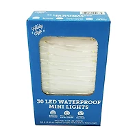 Holiday Style LED Waterproof Mini Lights, 10 ft, Assorted