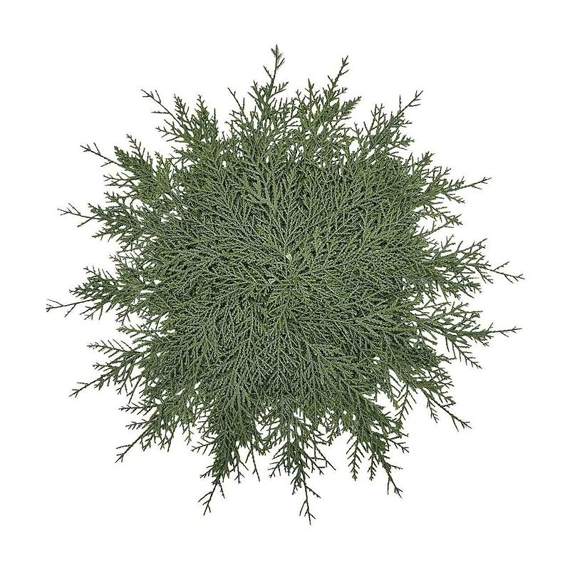 Christmas Pine Placemat, 20 in