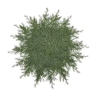 Christmas Pine Placemat, 20 in