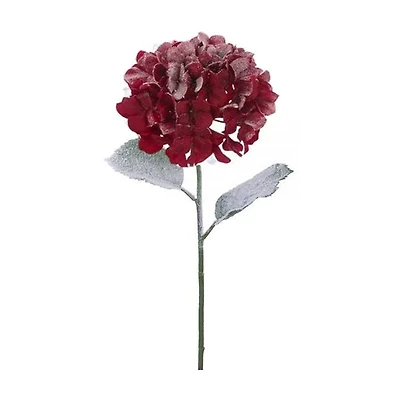 Frosted Red Hydrangea Stem, 22 in