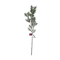 Glitter Mistletoes Stem, 34 in