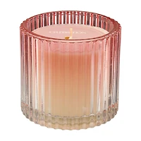 Home Fragrances Celebration Scented Candle, 10 oz