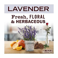 Mrs. Meyer's Clean Day Laundry Detergent, Lavender Scent, 64 Ounce Bottle
