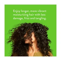 Native Cucumber & Mint Volume Shampoo, 16.5 fl oz