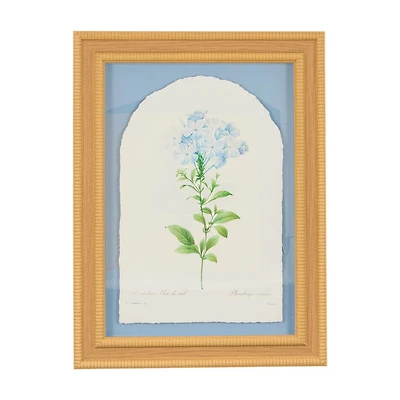 Framed Floral Wall Art