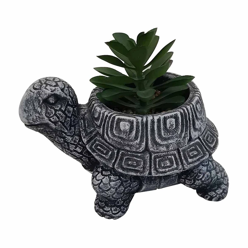 Turtle Succulent Planter