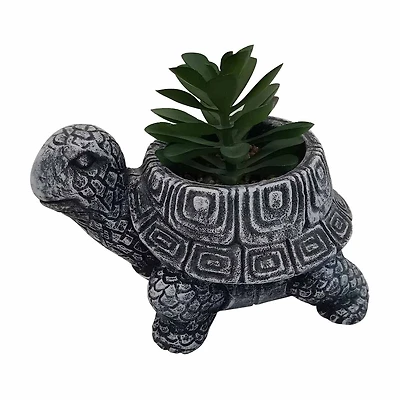 Turtle Succulent Planter