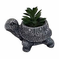 Turtle Succulent Planter