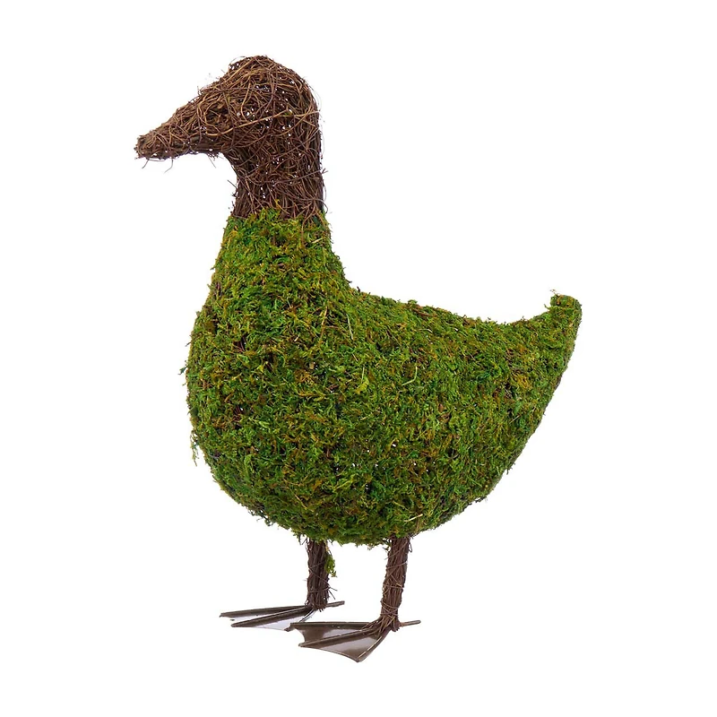 Garden Mossy Duck