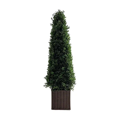 Topiary with Wicker Base, 36 in