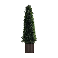 Topiary with Wicker Base, 36 in