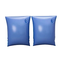 Licensed Character Swim Arm Bands, Assorted