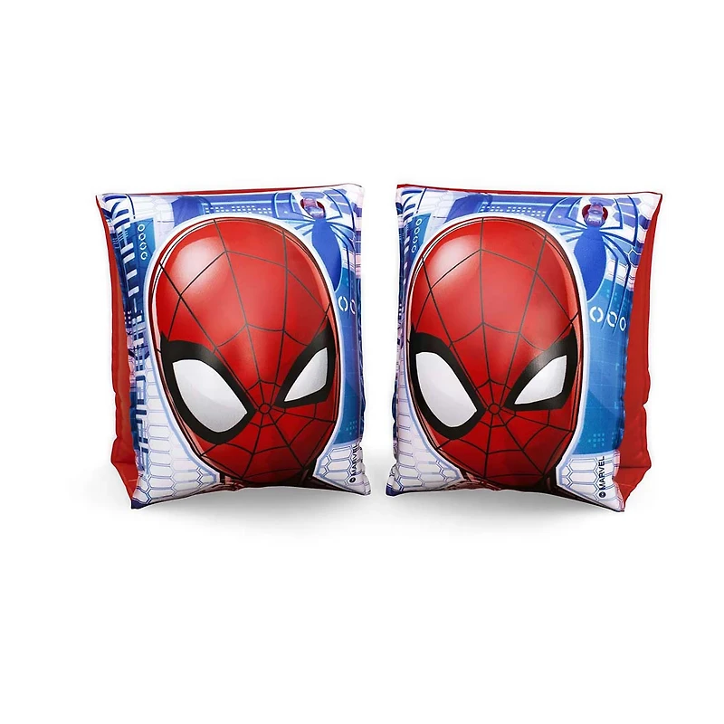 Licensed Character Swim Arm Bands, Assorted