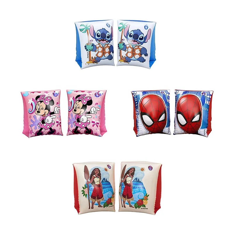 Licensed Character Swim Arm Bands, Assorted