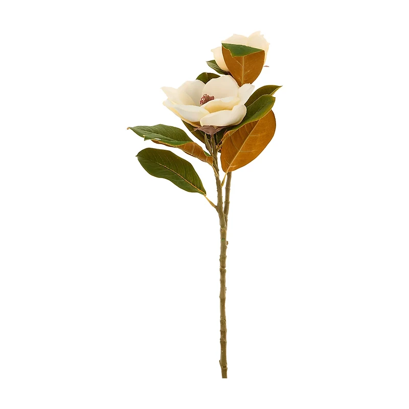 White Magnolia Stem