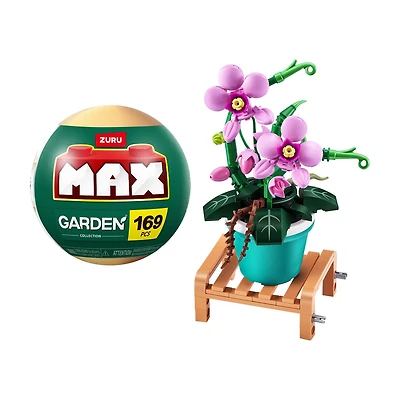 Zuru Max Garden, Phalaenopsis