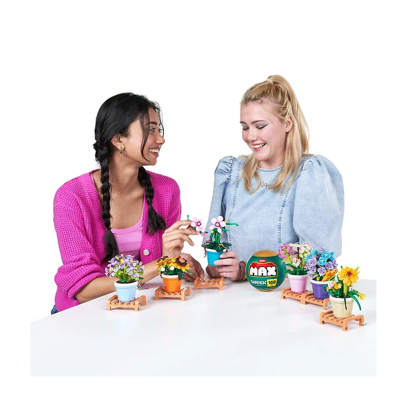 Zuru Max Garden, Phalaenopsis