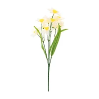 White Daffodil Pick