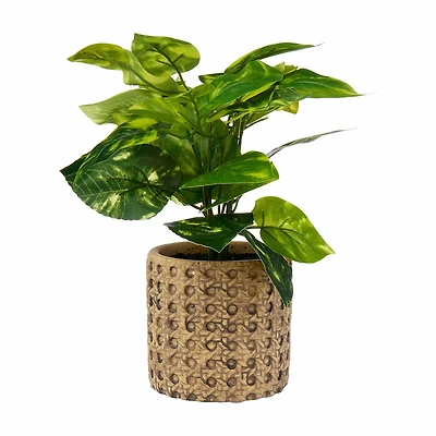 Premade Artificial Pathos Houseplant