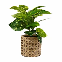 Premade Artificial Pathos Houseplant